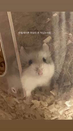 쿨럭쿨럭