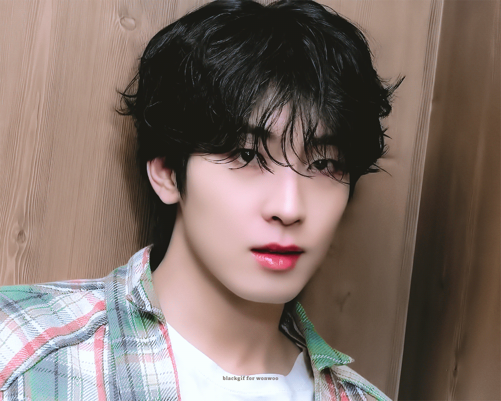 저너누바보고양이