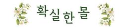 확실한 몰