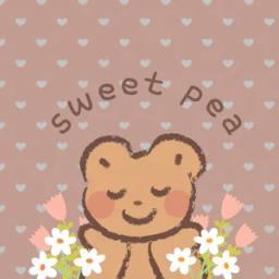 스위트피스토어