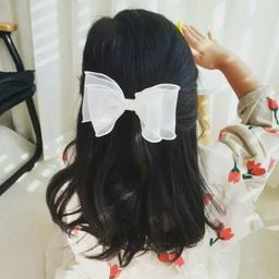 슈슈리본