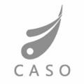 카소