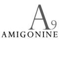 아미고나인