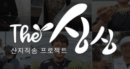 더싱싱