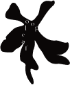 풀잎