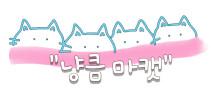 냥큼마캣