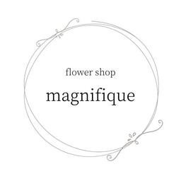 MAGNIFIQUE