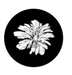 정세윤