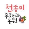 천송이 무화과농원