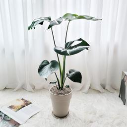 햇살농장