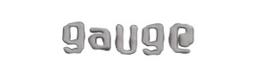 게이지 GAUGE