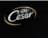 시저 CESAR