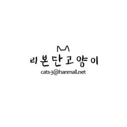 리본단고양이