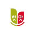 첫맛