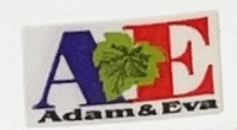 아담앤이브