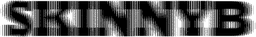 스키니비