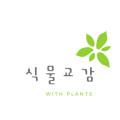 식물교감