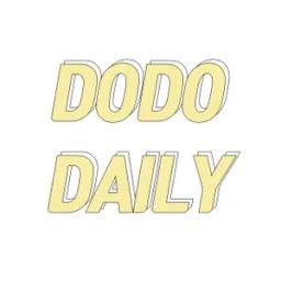 도도데일리