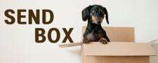 센드박스