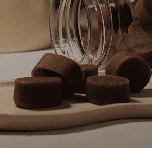 아더마스 강아지 베지팩 캐롭 120g