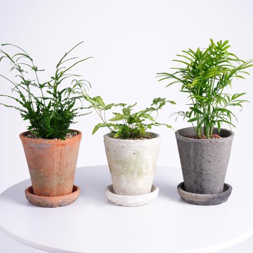 데팡스 안타나 빈티지 토분 인테리어 화분 10호