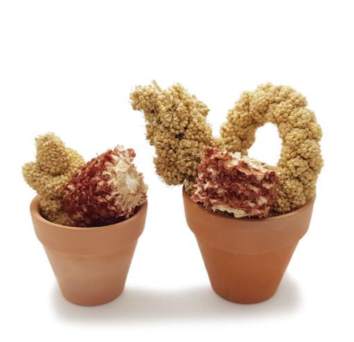 귀여운 미니화분 햄스터 간식그릇