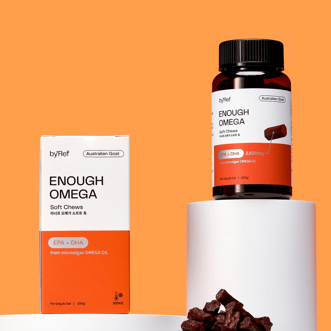 바이레프 이너프 오메가 소프트 츄 100g