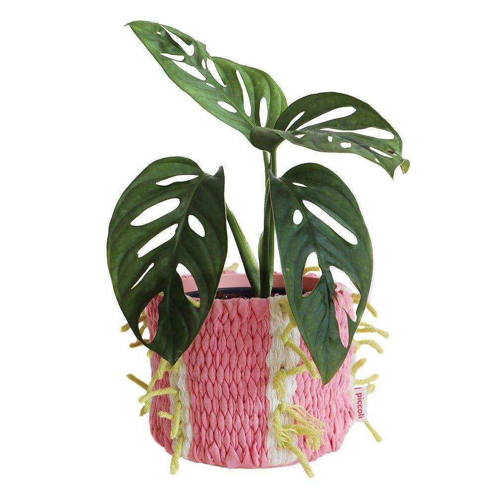 삐삐 팟 커버 _ 연분홍