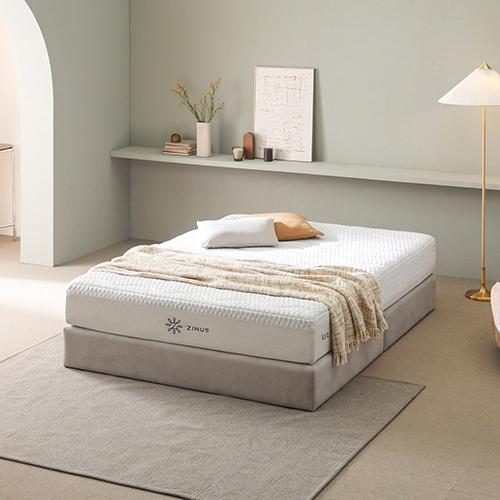 Zinus - Live in Wonder