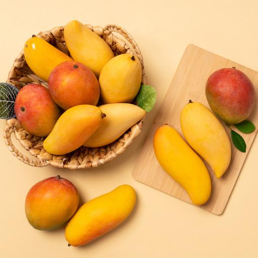 골드망고 태국 무지개망고 애플망고 선물세트