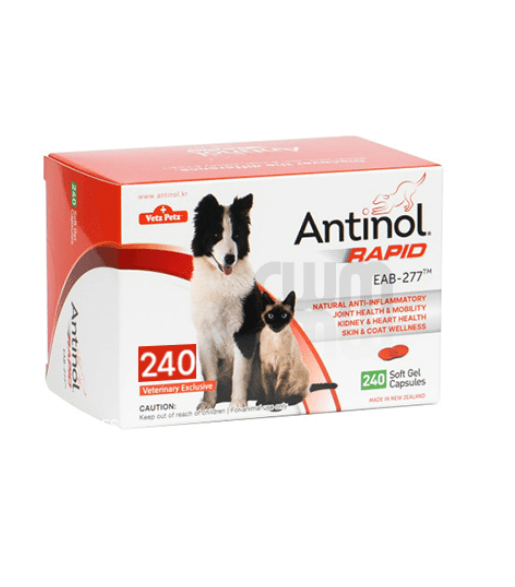 (DOG/CAT)◆기간한정할인!!◆안티놀 래피드 대용량 240정 천연 관절영양제 초록입홍합 추출 고순도 액상오일