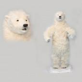 [한사토이] 6506-북극곰 140cm.H