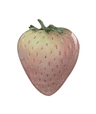 Strawberry griptok