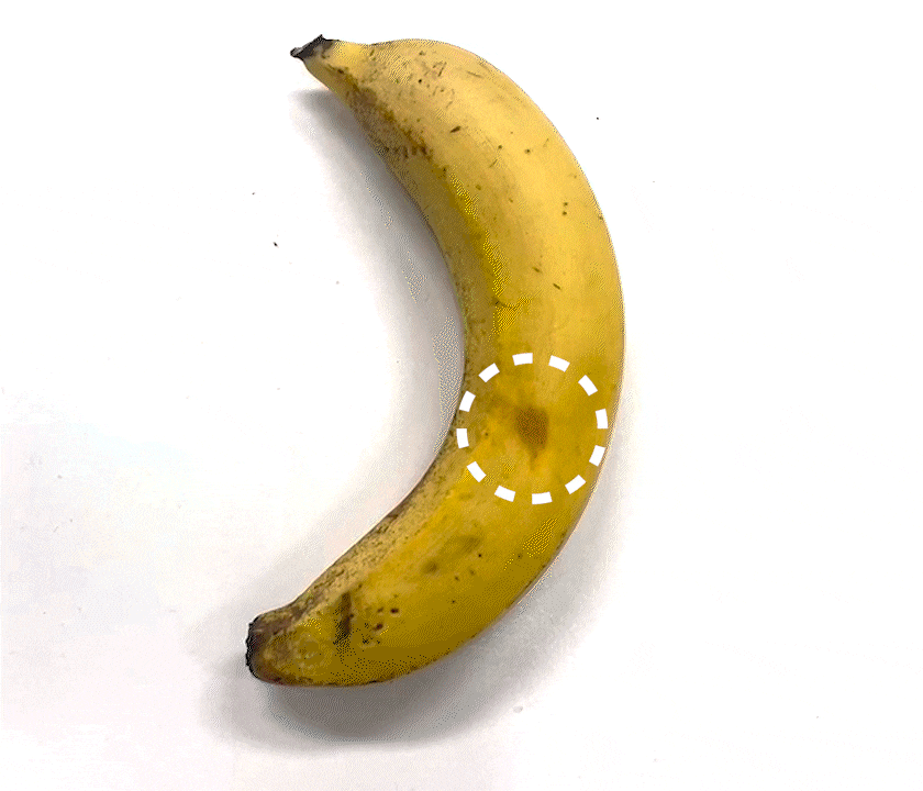 메디스팟 부스터패치&메디스팟 비타-C크림 세트 4종 택1