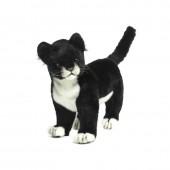 [한사토이] 4587 검정 아기고양이/30cm.L