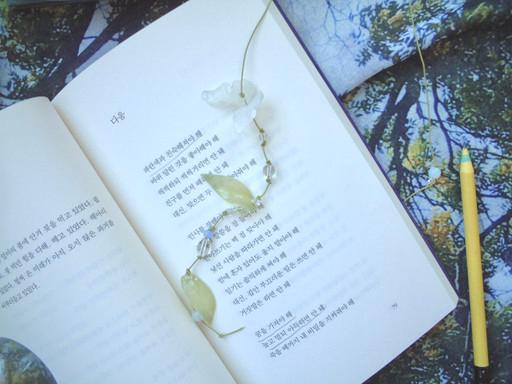 풀숲 [森林] 끈갈피