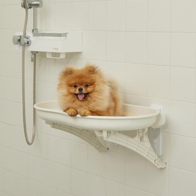 [모어플러스] 순무 X 바스테이블