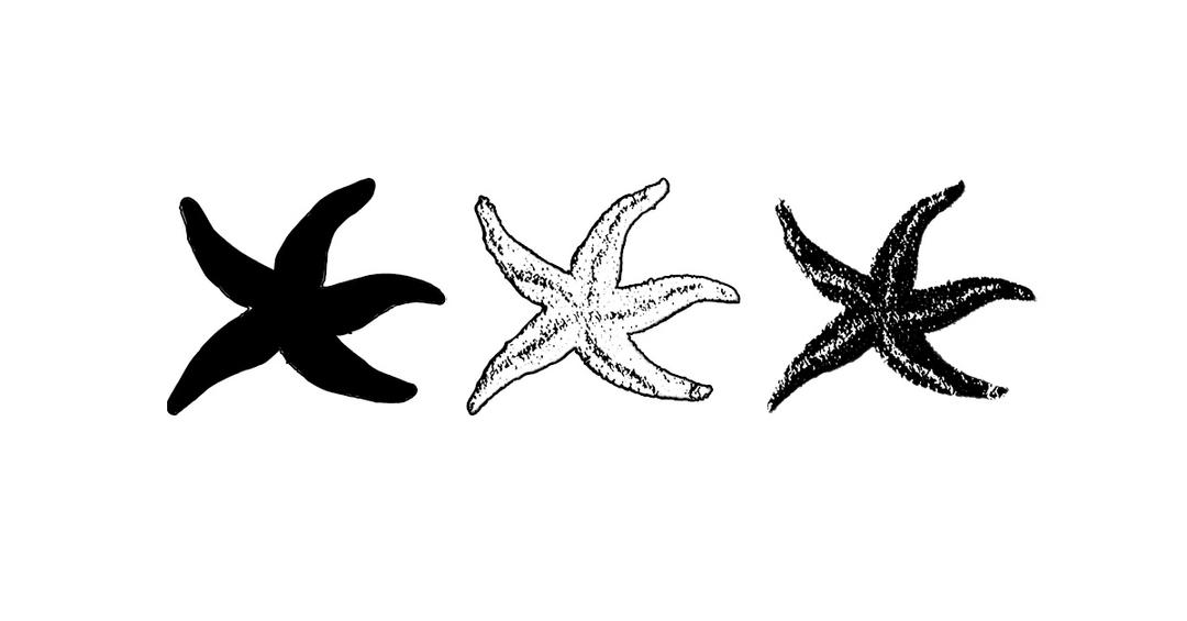 더콜디스트모먼트